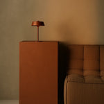 Luca Bronze - USB Rechargeable Lamp l Minimalist, Playful & Dimmable