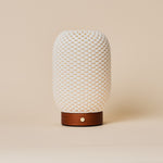 Aurora Chestnut Brown rechargeable lamp with woven porcelain shade and reddish wood base on beige backdrop