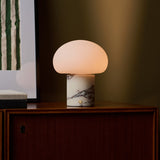 Tavellio Codde rechargeable table lamp glowing on a wood cabinet beside a framed botanical print