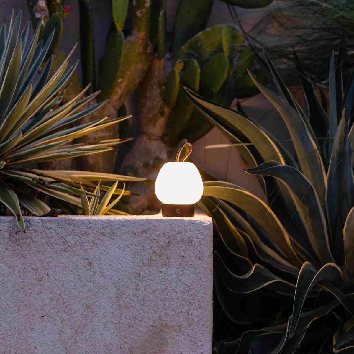 Cooper Dark Brown Wooden Rechargeable Table Lamp – Cordless, Dimmable & Stylish Tavellio