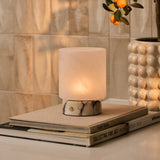 Rechargeable table lamp Cuyp Small glowing on a stack of art books beside a citrus plant