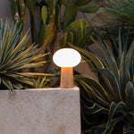 Max Light Brown Wooden Rechargeable Table Lamp with Glass & Rechargeable Battery | Dimmable & Versatile Lighting Tavellio