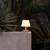 Teddy Light Brown Wooden Rechargeable Table Lamp – Dimmable, USB-C, 100-Hour Battery Life