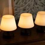 Teddy Dark Brown Wooden Rechargeable Table Lamp | Dimmable & Cordless with 80 Hours Battery Life Tavellio
