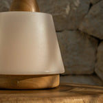 Liv Light Brown Rechargeable Lamp – Leather Strap, Dimmable, Cordless - Tavellio