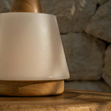 Liv Light Brown Rechargeable Lamp – Leather Strap, Dimmable, Cordless - Tavellio