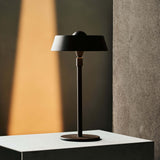 Luca Dark Brown Rechargeable Lighting