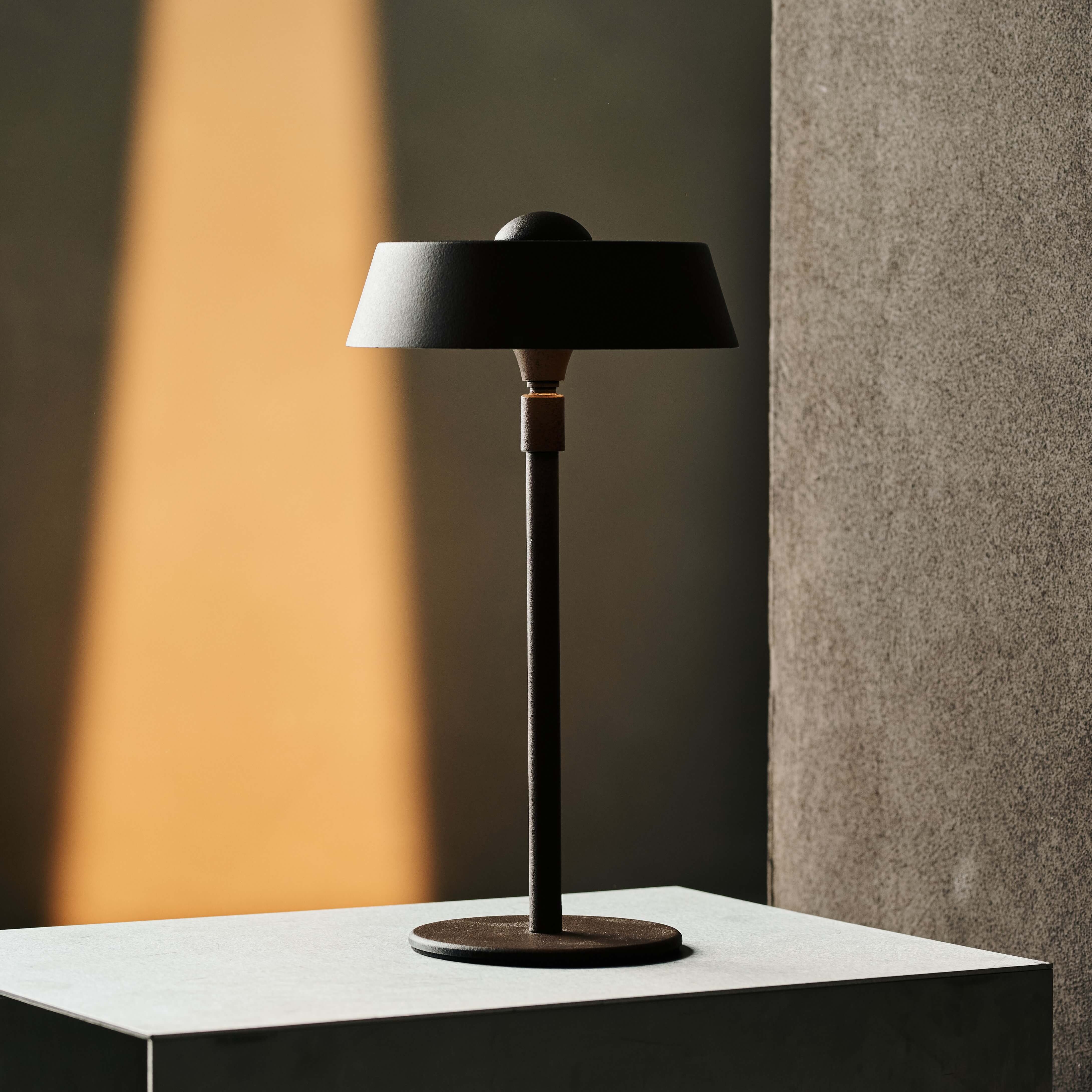 Luca Dark Brown Rechargeable Lighting