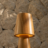 Lucas Rechargeable Table Lamp – Cordless, Dimmable & USB-C Charging