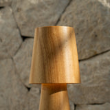 Lucas Rechargeable Table Lamp – Cordless, Dimmable & USB-C Charging