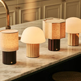 Nordic Collection Rechargeable Cordless Table Lamps with Modular Shade - Tavellio