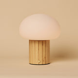 Pieter Hellbraun Wiederaufladbare Tischlampe 