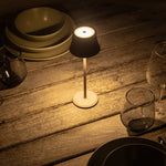 Willy Mini Koala Grey Rechargeable Table Lamp – Cordless, Dimmable, 80-Hour Battery Tavellio