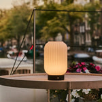Lilly Dark brown Unique Rechargeable Lamp – Frosted Glass lamp, Wooden Base, Dimmable, 3 Light Modes
