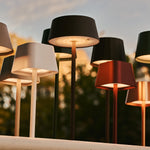 Wouter Mocha Brown Cordless Lighting