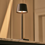 William Black Rechargeable Iron Table Lamp – 120-Hour Battery, Dimmable, USB-C Charging