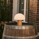 Mia Light Brown Stylish Wooden Table Lamp with Dimmer - Wood, Functional & Subtle