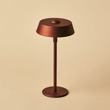Luca Bronze - USB Rechargeable Lamp l Minimalist, Playful & Dimmable