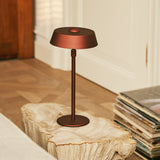 Luca Bronze - USB Rechargeable Lamp l Minimalist, Playful & Dimmable