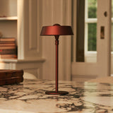 Luca Bronze - USB Rechargeable Lamp l Minimalist, Playful & Dimmable