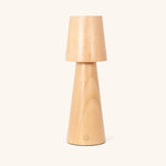 Lucas Rechargeable Table Lamp – Cordless, Dimmable & USB-C Charging Tavellio
