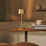 Combi Set Professional | 4 x Prinsen Mini Gold Rechargeable Table Lamps & Magnetic Charging Station