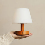 Teddy Chestnut Brown Wooden Rechargeable Table Lamp | Dimmable & Cordless with 3 Light Modes - Tavellio