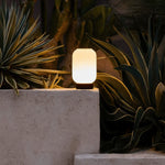 Lilly Dark brown Unique Rechargeable Lamp – Frosted Glass lamp, Wooden Base, Dimmable, 3 Light Modes