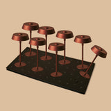 Professional Kombi-Set | 8 × Luca Bronze Tischlampen & Magnetisch Ladestation