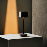 Prins Mini Mokka Bruin Draadloze Lamp