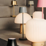 Lyla Lichtbruin Unieke Oplaadbare Lamp - Matglas & Houten Lampvoet, Dimbaar, 3 Lichtstanden