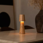 Lucas Rechargeable Table Lamp – Cordless, Dimmable & USB-C Charging Tavellio