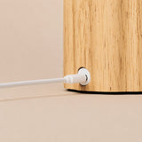 Karolien Light Brown Rechargeable Lamp